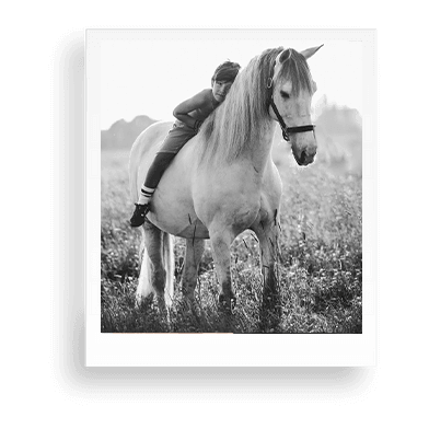 Dieren fotoshoot