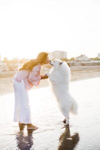 Foto hond