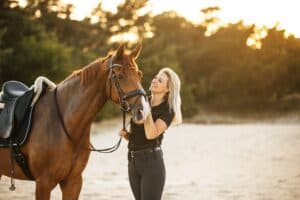 paard op foto